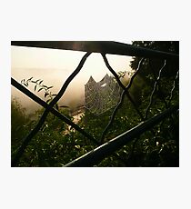 WEB Photographic Print