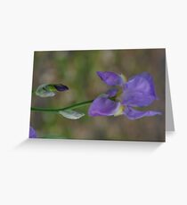 Flower Macro Greeting Card