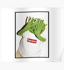 Kermit hates Paparazzi Poster