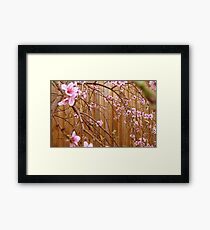 Blossoms Framed Print