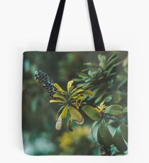 Decay Tote Bag
