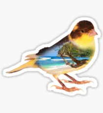 Canary Bird Island Bird Nature Birding T-Shirt Sticker