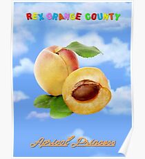 rex orange county Poster