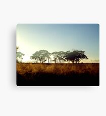 Wheatbelt Dawn Canvas Print