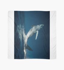 Happy Whale Scarf
