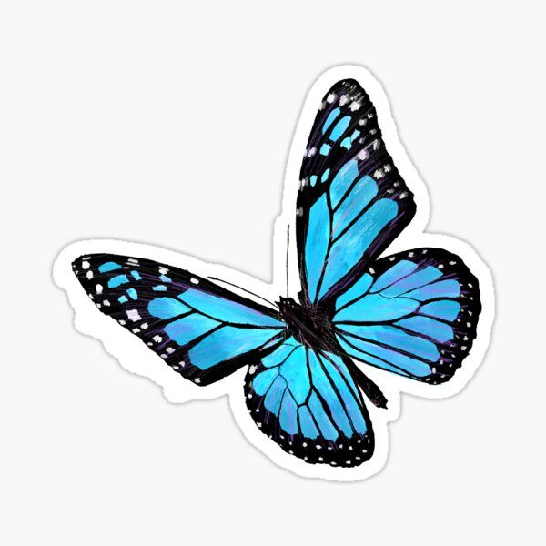 10 Best For Aesthetic Pastel Blue Butterfly Aesthetic Cute Blue Backgrounds Kathryne Blogs - kawaii aesthetic butterfly cute roblox wallpaper