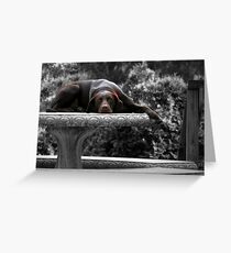 DOG DAYS Greeting Card