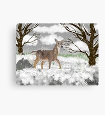 White Tailed Deer Canvas Print
