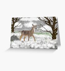 White Tailed Deer Greeting Card