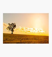 The Warlu Photographic Print