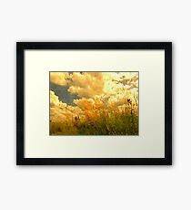 Far from the Maddening Crowd 1 Framed Print