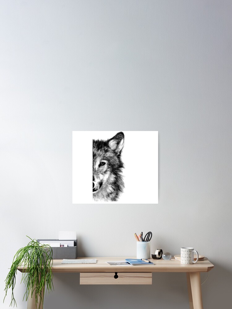 Gray Wolf Drawing Pencil Sketch Poster