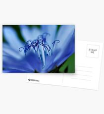 Prongs Postcards