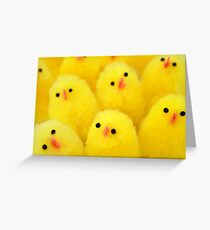 Easter Chicks Greeting Card