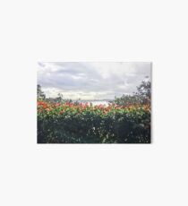 Rendering Flowers Art Board