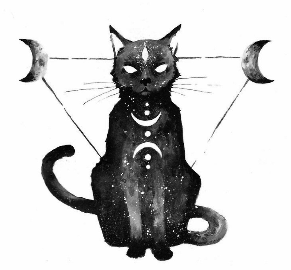 "Witchy Black Cat Illustration" by avalonwitch Redbubble