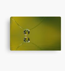 Look Alike Canvas Print