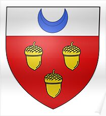 French France Coat of Arms 16403 Blason fr loche Poster