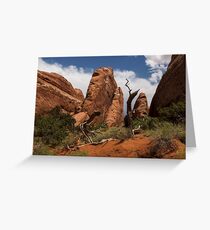 The Devil’s Garden - 2 © Greeting Card
