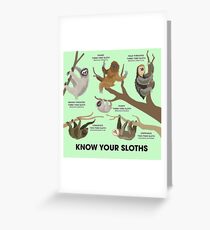 Know Your Sloths Greeting Card