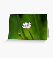 Small world Greeting Card