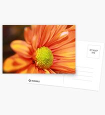 Featured! Citrus Postcards