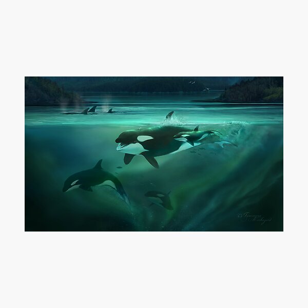 Call of the Matriarch Photographic Print