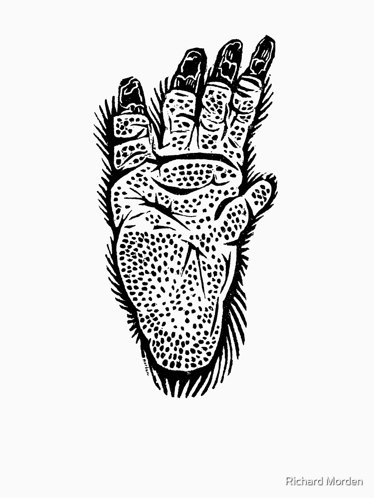 foot of a Northern Hairy-nosed Wombat by morden