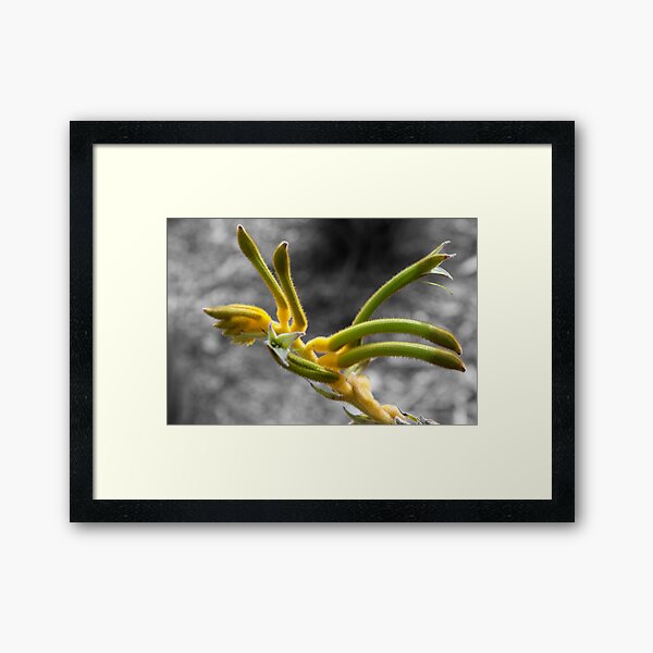 Green and gold Framed Art Print