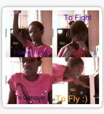 I came to win to fly Sticker