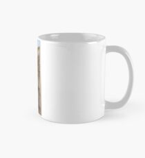 SJ - Damascene Lane Mug