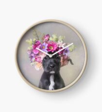 Flower Power, Joey Uhr