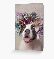 Flower Power, Nakita Greeting Card