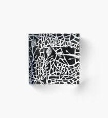 277 - THREE LITTLE BIRDS - DAVE EDWARDS - INK - 2018 Acrylic Block