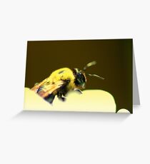 Fall ~ Busy Bee.. Greeting Card