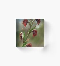 Blood Relatives Acrylic Block
