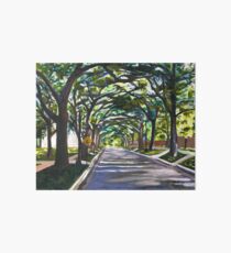 Rice University South Campus Art Board Print