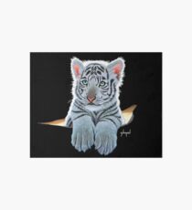 Weißer Tiger Cub, Tiger innen Galeriedruck