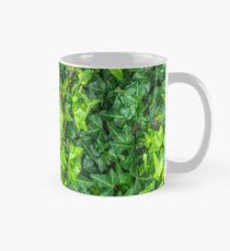 Efeublätter Tasse (Standard)