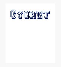 Cygnet Photographic Print