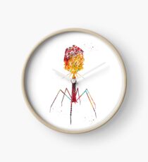 Bacteriophage Clock