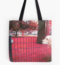I want you! Tote Bag