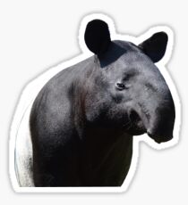 Malayan Tapir Sticker