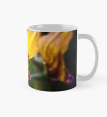 Pansy Orchids Mug