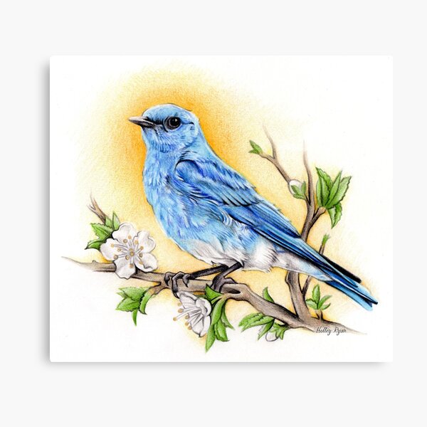 Blue Canvas Print