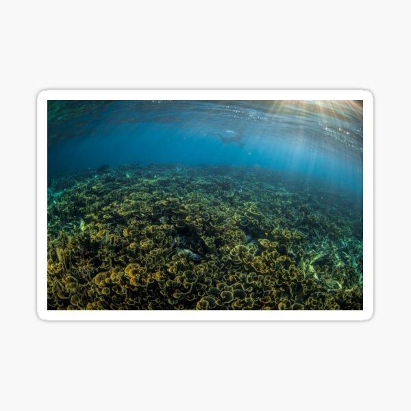 Dusk snorkel Sticker