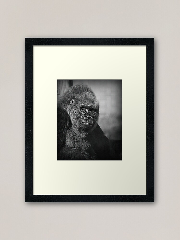 Alternate view of King Kong Framed Art Print