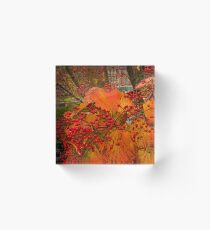 Fall at Winterthur Acrylic Block