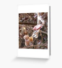 Ice Storm Pine Cones Greeting Card