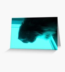 solarium Greeting Card